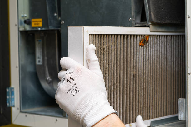 Best Emergency Air Duct Cleaning  in Forestdale, MA
