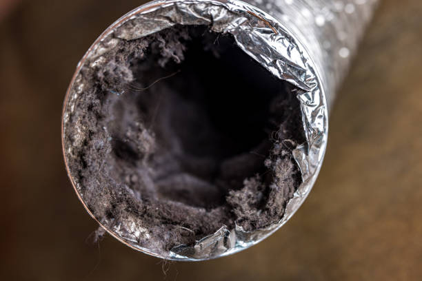 Best Professional Duct Cleaning Services  in Forestdale, MA