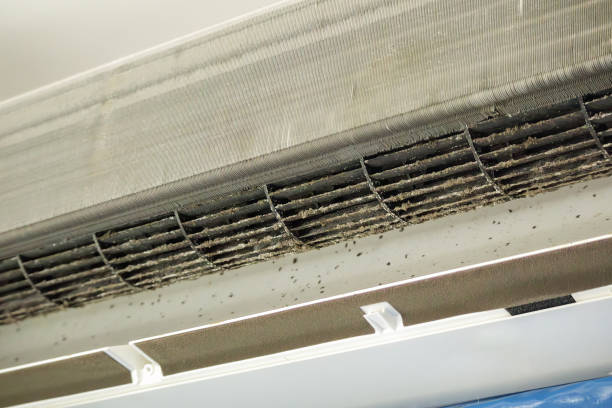 Best General Air Duct Cleaning  in Forestdale, MA